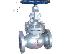 PoulaTo: GLOBE VALVES SUPPLIERS IN KOLKATA